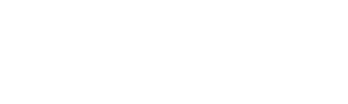 v. Fischer Investas